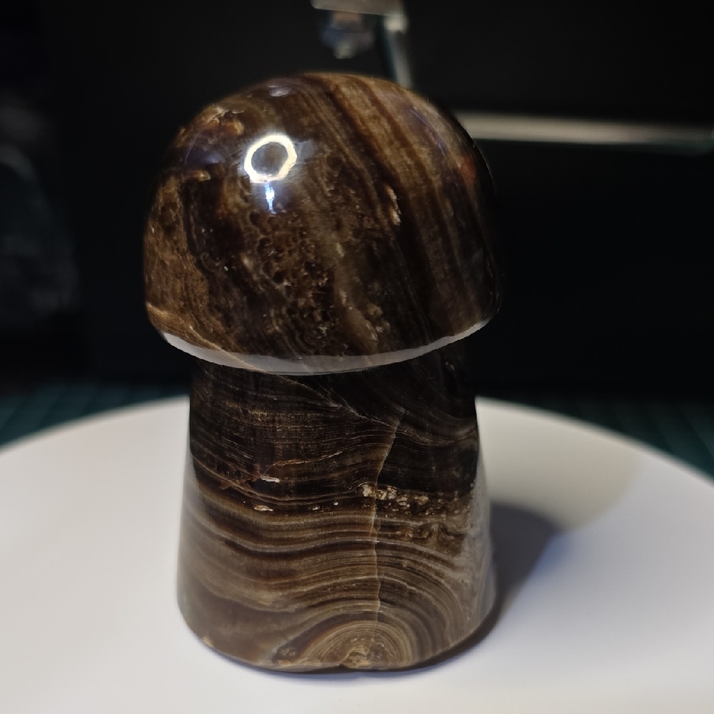 Espresso Chocolate Calcite UV reactive Mushroom Carving